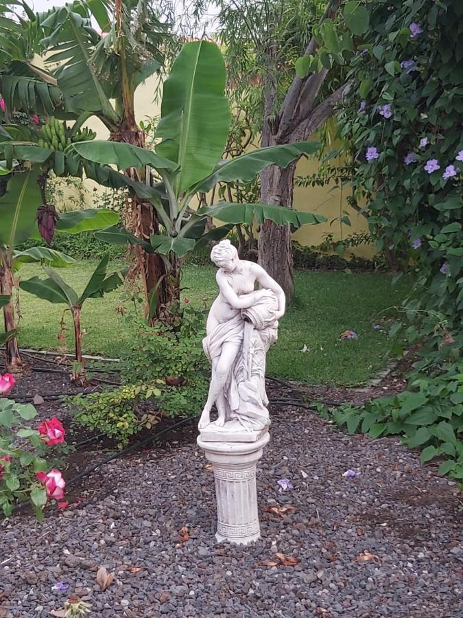 Mi Jardin Villa Фронтера Екстериор снимка
