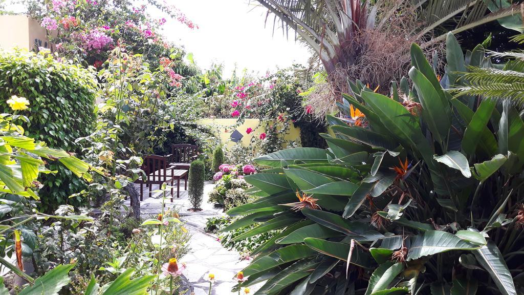 Mi Jardin Villa Фронтера Екстериор снимка